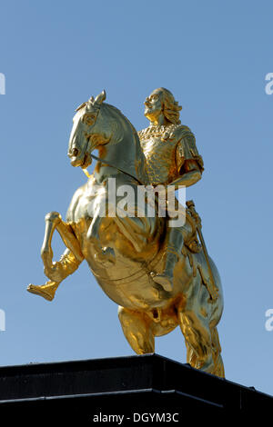 Golden horseman, Dresde, Florence de l'Elbe, la Saxe Banque D'Images