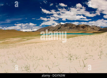 Gamme de montagne au lac Tso Kar, Kar, Ladakh, Inde du Nord, Inde, Asie Banque D'Images