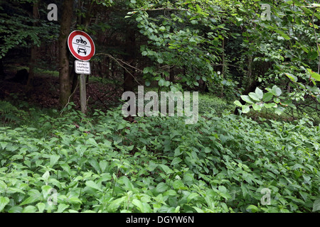 Pas de véhicules à moteur sauf trafic forestier Banque D'Images