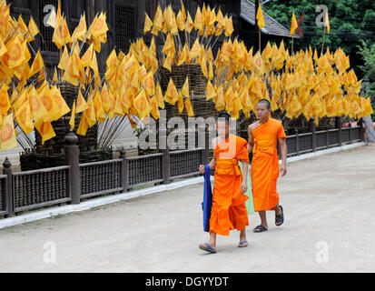 Les jeunes moines, Chiang Mai, Thaïlande, Asie Banque D'Images