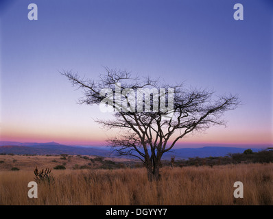 L'Rorke Drift, Kwazulu-Natal, Afrique du Sud Banque D'Images