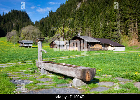 Alpe Rosenlaui, Reichenbach, vallée de l'Oberland bernois, Canton de Berne, Suisse, Europe Banque D'Images