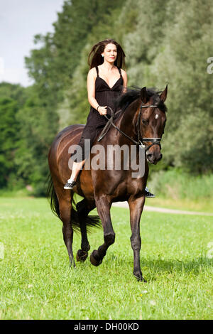 Jeune femme portant une robe bareback assis sur un cheval et l'équitation à un trot, cheval hanovrien, Bay, North Tyrol, Autriche Banque D'Images