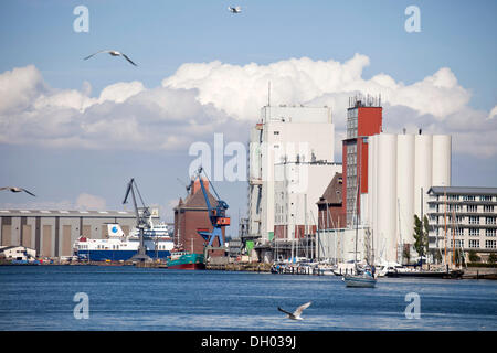 Port et HaGe Kraftfutterwerk, une usine d'alimentation, à Flensburg, Schleswig-Holstein Banque D'Images