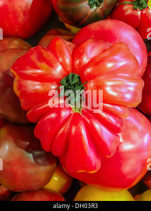 Close up of heart-shaped tomato Banque D'Images