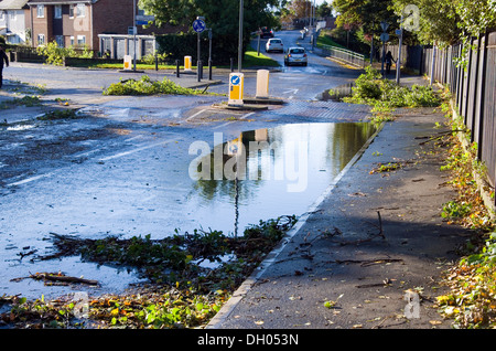 Route de banlieue avec des branches à New Malden, au sud ouest de Londres après 'St Judes Storm' créé pendant la nuit des coups de vent Banque D'Images