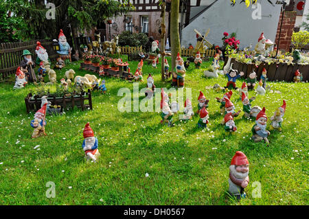 Beaucoup de nains de jardin dans un jardin sur le devant, près de Bueches Buedingen, Hesse, PublicGround Banque D'Images