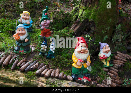 Les nains de jardin dans une aire forestière, Hopfgarten, Tyrol, Autriche, Europe Banque D'Images