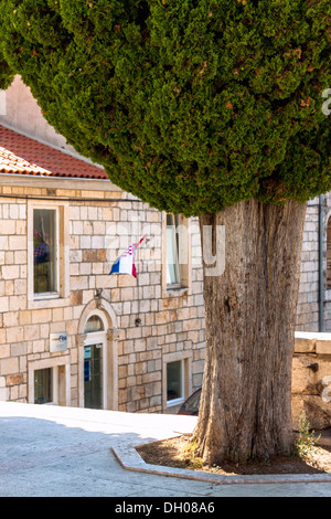 Cyprès par l'église de Saint Joseph dans la ville de Vela Luka, l'île de Korcula, Croatie Banque D'Images