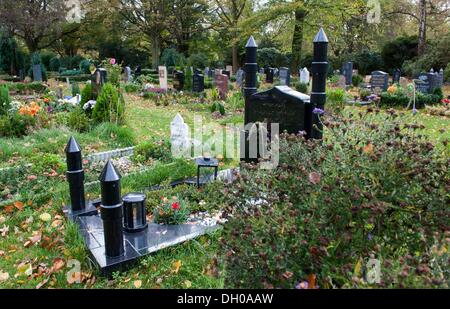 Hanovre, Allemagne. 28 Oct, 2013. Pierres tombales debout sur la tombe musulmane sur le terrain cimetière Stoecken à Hanovre, Allemagne, 28 octobre 2013. Des associations de migrants s'attendre à une augmentation de sépultures islamiques en Allemagne. Photo : Hauke-Christian Dittrich/dpa/Alamy Live News Banque D'Images