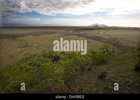 Paysage de savane, au Guyana, en Amérique du Sud. Banque D'Images