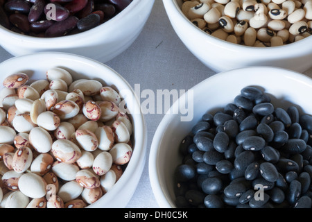 Sucre séchées Haricots, Black Eyed haricots, haricots rouges, haricots noirs en blanc bols Banque D'Images