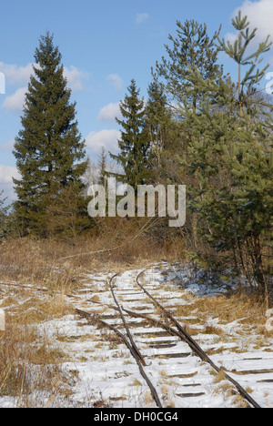 Les voies d'un chemin de fer à voie étroite pour le transport de la tourbe, Stammbecken Moor, près de Rosenheim, Bavière Banque D'Images