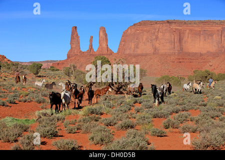 Cowboy Navajo de Mustang, trois Sœurs rock formation, Utah, United States Banque D'Images