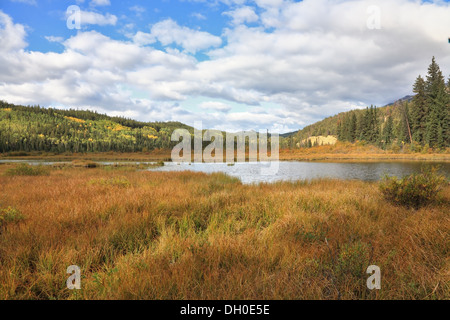 Le Lac Bow et les montagnes brillantes Banque D'Images