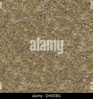 Seamless Texture d'herbe desséchée. Banque D'Images