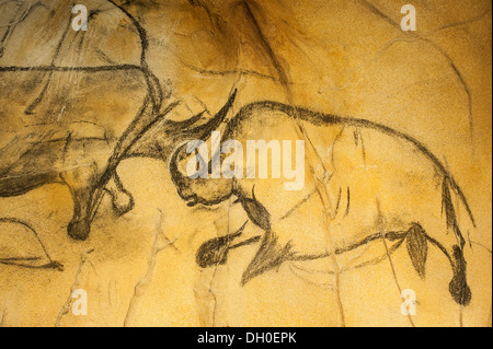 Réplique de la peinture rupestre préhistorique de rhinocéros laineux, grotte Chauvet, Grotte Chauvet-Pont-d'Arc en Ardèche, France Banque D'Images