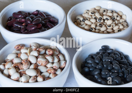 Sucre séchées Haricots, Black Eyed haricots, haricots rouges, haricots noirs en blanc bols Banque D'Images