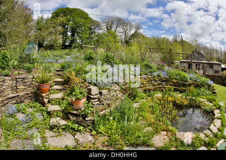 Zanzig Jardin en fleur, Cornwall, UK Banque D'Images