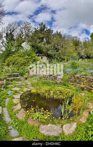 Zanzig Jardin en fleur, Cornwall, UK Banque D'Images