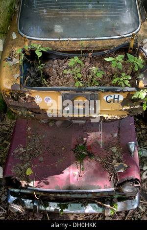 Cimetière Auto Kaufdorf près de Berne, Suisse, Europe Banque D'Images