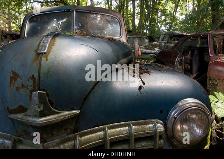 Cimetière Auto Kaufdorf près de Berne, Suisse, Europe Banque D'Images