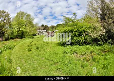 Zanzig Jardin en fleur, Cornwall, UK Banque D'Images