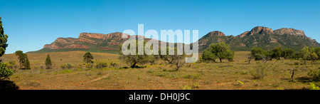 Illuka et Pic Rawnsley Bluff, Panorama du Parc national Flinders Range, Australie du Sud, Australie Banque D'Images