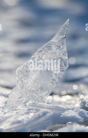 Des plaques de glace sur une rivière, Fuldabrück, Fuldabrück, Hesse, Allemagne Banque D'Images