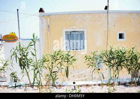 Un restaurant à Akrotiri près de la plage rouge de Santorin, Grèce le 7 juillet 2013. Banque D'Images