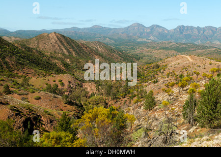 Heysen vont de Bunyeroo Lookout, Flinders Range National Park, Australie du Sud, Australie Banque D'Images