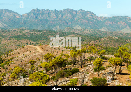 Heysen vont de Bunyeroo Lookout, Flinders Range National Park, Australie du Sud, Australie Banque D'Images