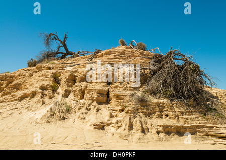 Bien Vigars Dunes, parc national de Mungo, NSW, Australie Banque D'Images