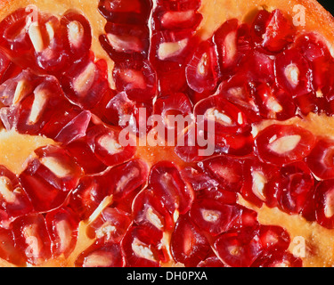Close up of ripe pomegranate réduit de moitié Banque D'Images
