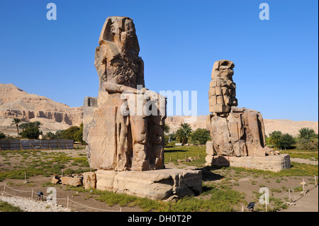 Colosses de Memnon sur rive ouest du Nil à Louxor, Egypte Banque D'Images