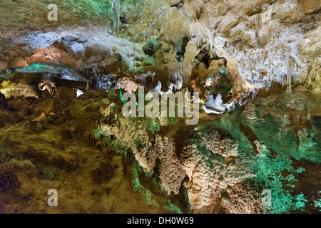 La grande salle de la grotte de Carlsbad Caverns National Park, New Mexico, USA Banque D'Images