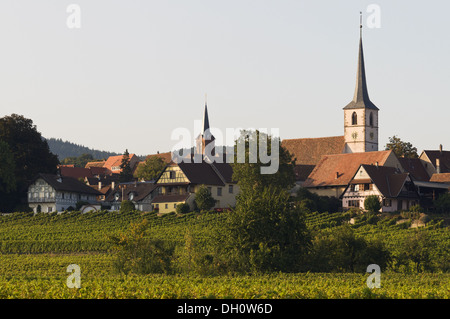 Elk213-1750 France, Alsace, Mittelbergheim, village à travers vignes Banque D'Images
