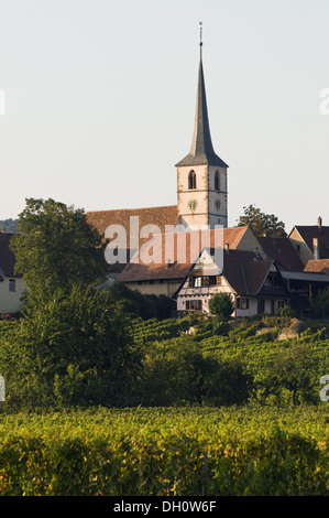 Elk213-1761v France, Alsace, Mittelbergheim, village à travers vignes Banque D'Images