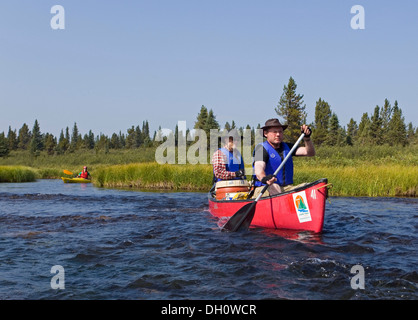 Deux hommes en canoë, kayak, canoë, Kayak, lacs Caribou derrière, Upper Liard River, Yukon Territory, Canada Banque D'Images
