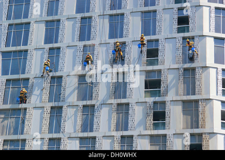 Nettoyage de vitres à travailler sur la façade d'un gratte-ciel, la Marina de Dubaï, Dubaï, Émirats Arabes Unis Banque D'Images