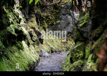 Rétrécissement de la voie, Halemaumau 'Trail' dans le volcan, dans la caldeira, le volcan Kilauea Banque D'Images