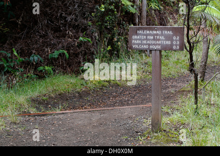 L'Halemaumau 'Trail' dans le volcan, dans la caldeira, Kilauea Volcano, Hawaii Volcanoes National Park, Big Island Banque D'Images