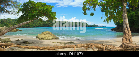 Les racines des arbres et du bois flotté line l'extrémité sud de Playa Manuel Antonio de Parc National Manuel Antonio, Costa Rica Banque D'Images