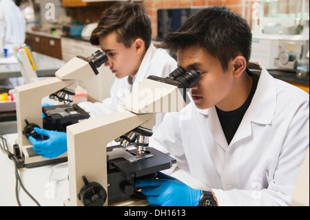 Les étudiants qui travaillent dans le laboratoire de sciences Banque D'Images