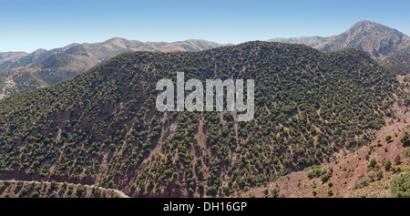 Vue depuis le col de Tizi n'Test passer sur les montagnes du Haut Atlas, en route vers Marrakech, Maroc, Afrique du Nord Banque D'Images