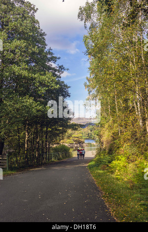 Trois amies avec les bras autour de l'autre descendre un large chemin bordé d'arbres vers le Scottish Loch Katrine Banque D'Images