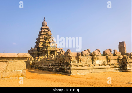 Le 8ème siècle Hindu Temple Shore sur une journée ensoleillée contre un ciel bleu clair à Mamallapuram, Tamil Nadu, Inde. Banque D'Images