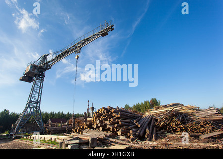 Moulin à scie avec grue et pile de bois Banque D'Images