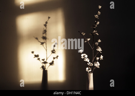 ombre de fleurs artificielles arrangement dans vase sur mur , Banque D'Images