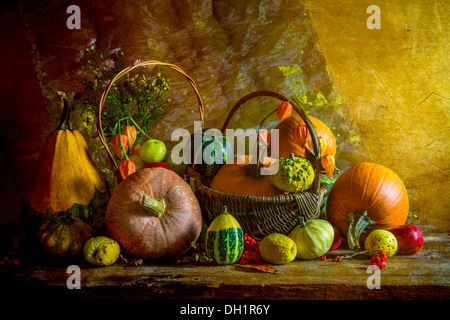 Halloween automne still life with Pumpkins, Rowan et coings Banque D'Images